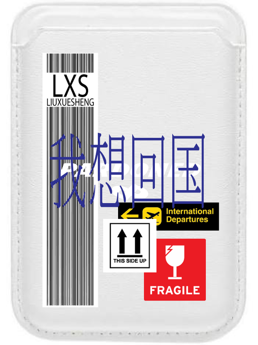 我想回国magsafe wallet